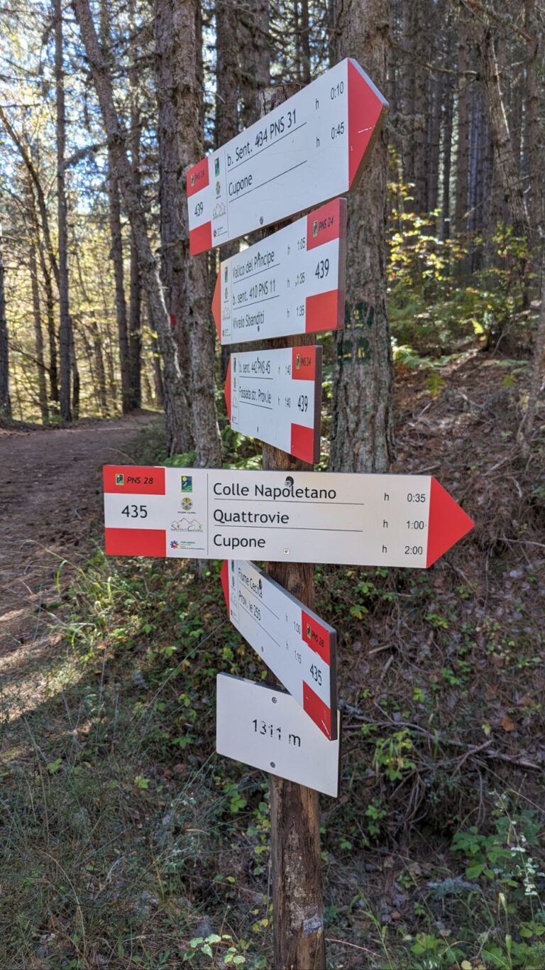 Wandertag
