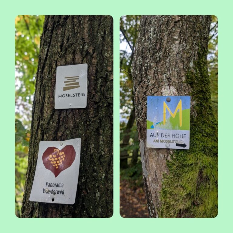 Nachtplatz mit Moselblick