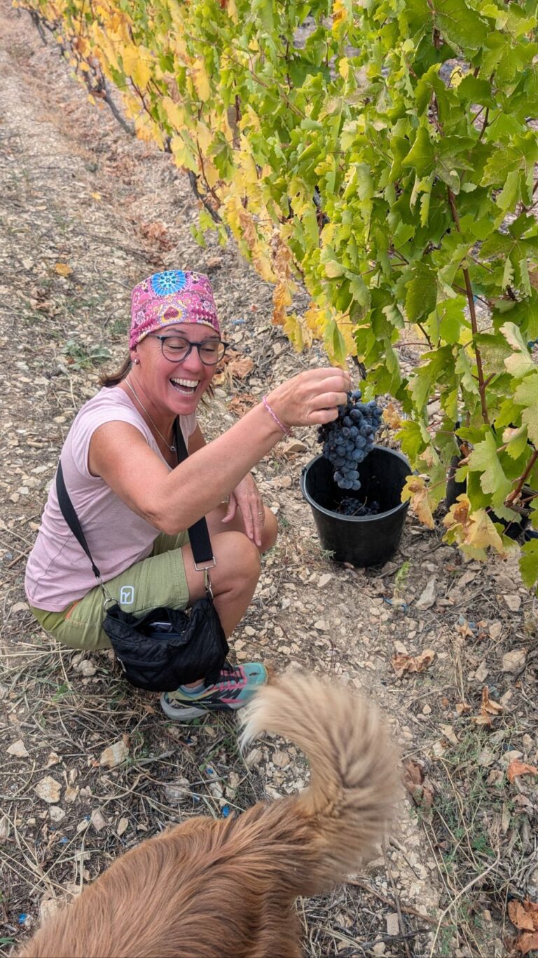 Momik Wine Cube