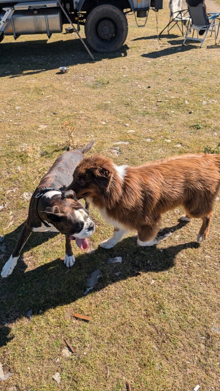 Auszeit-Camp am Vansee