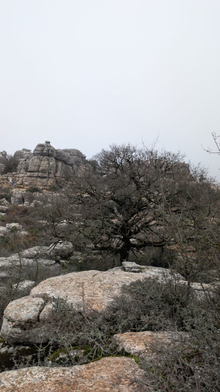 El Torcal de Antequera