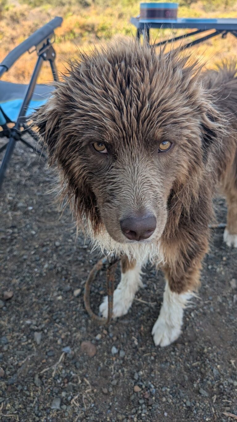 Waiting for a little cooling 🆒…