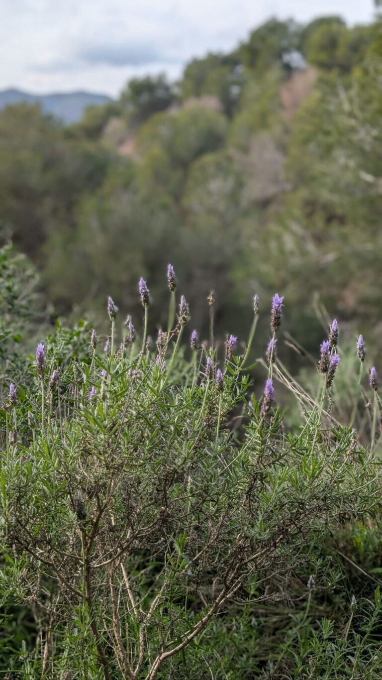 Wandertag in der Nähe von Cartagena