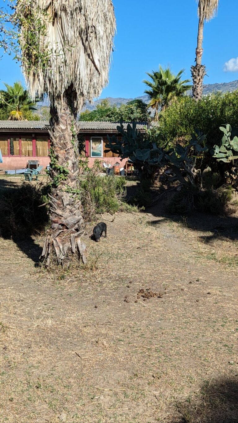 New Ranch Club Calantabiano