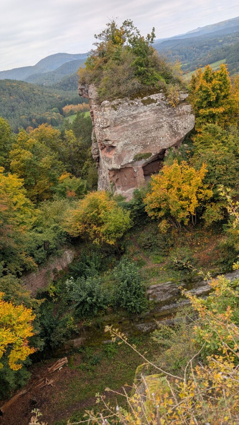 Drachenfels & Alt-Dahner Burgenkomplex