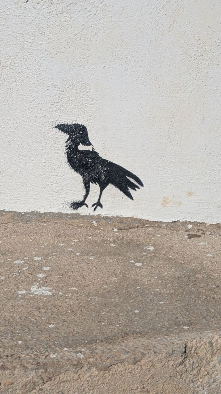 Mirador de Zigurat & Strandwanderung zum Far de Fangar