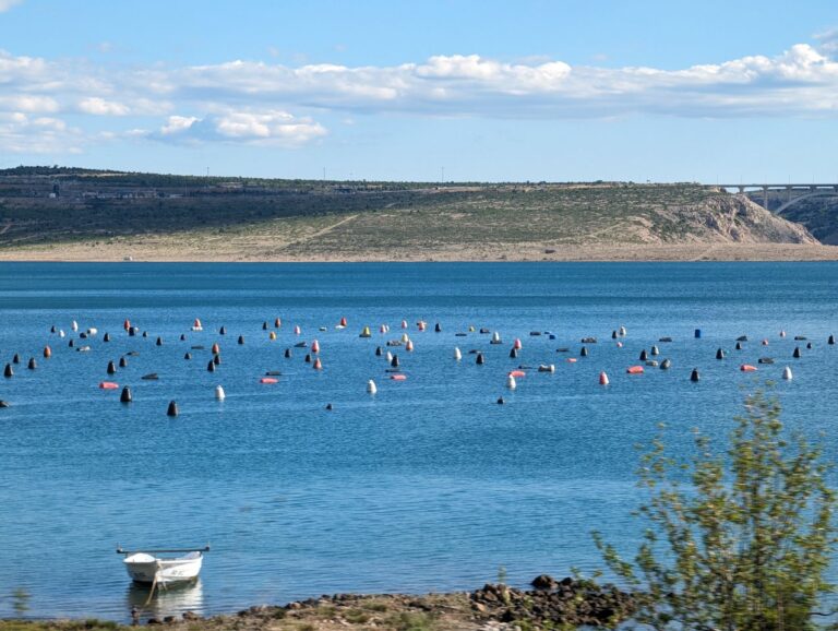 Zu Gast bei Ulf und Nicole