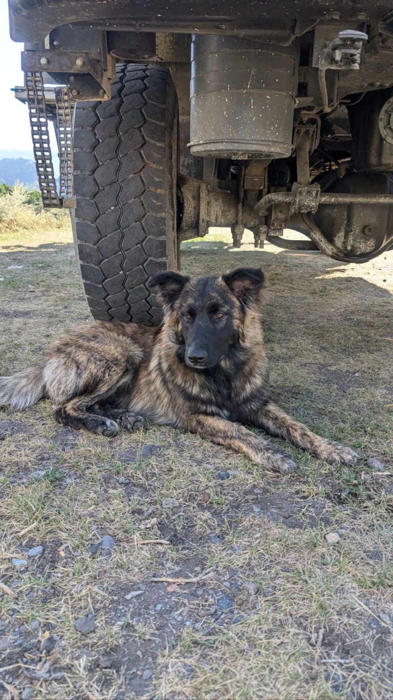 Frühstück zu Viert