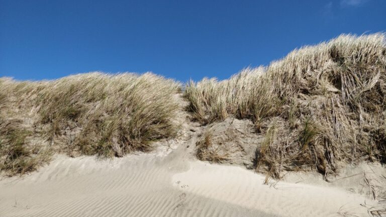Sønderstrand, Rømø