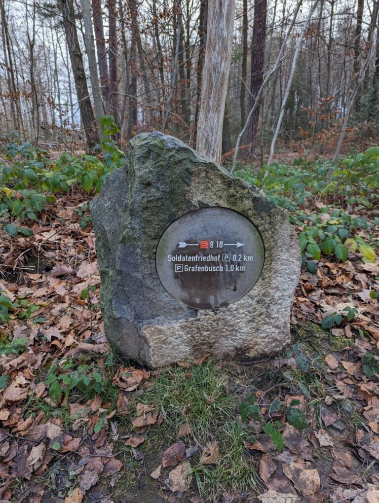 Back home again 🏡🫶 ❣️