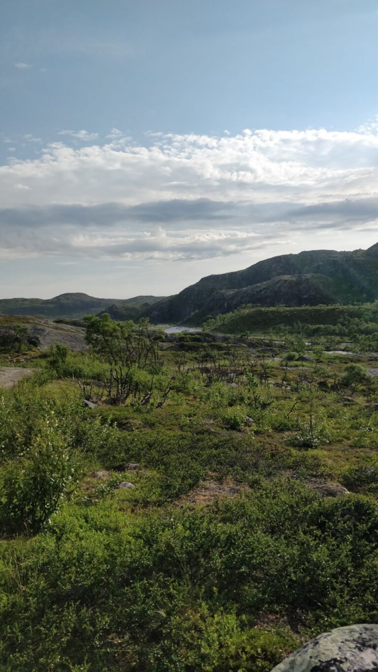 ANARASMADDI Offroad-Paradies