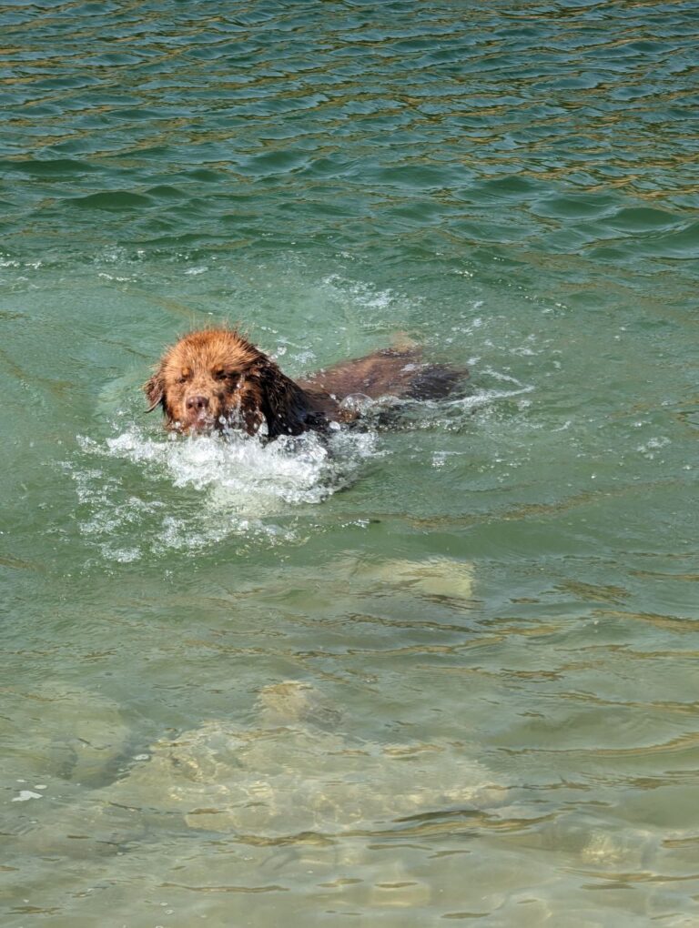 Wieder alleine zu dritt