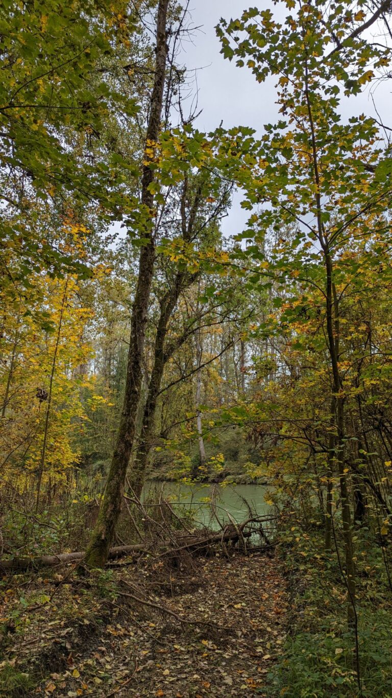 Kempten – IVECO SERVICE WÖLFLE