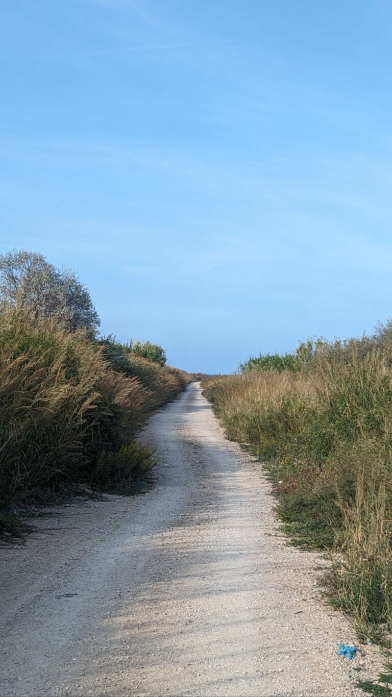 Montenero di Bisaccia