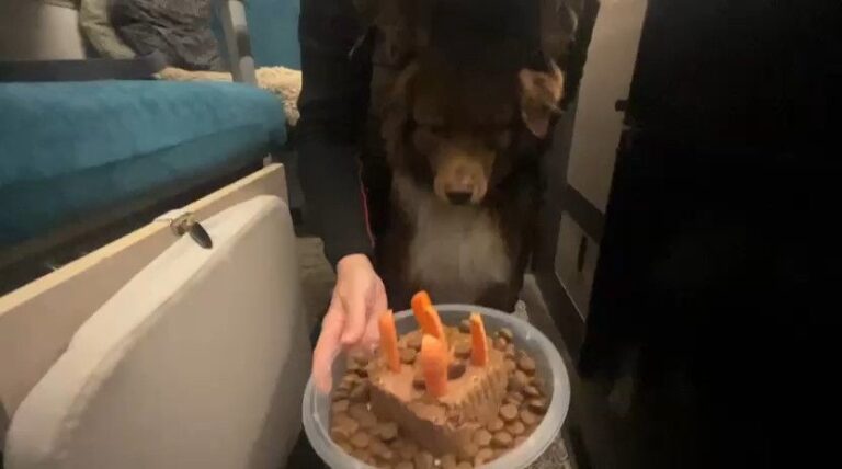 Cuba wird 5️⃣ | Bourgh-en-Bresse