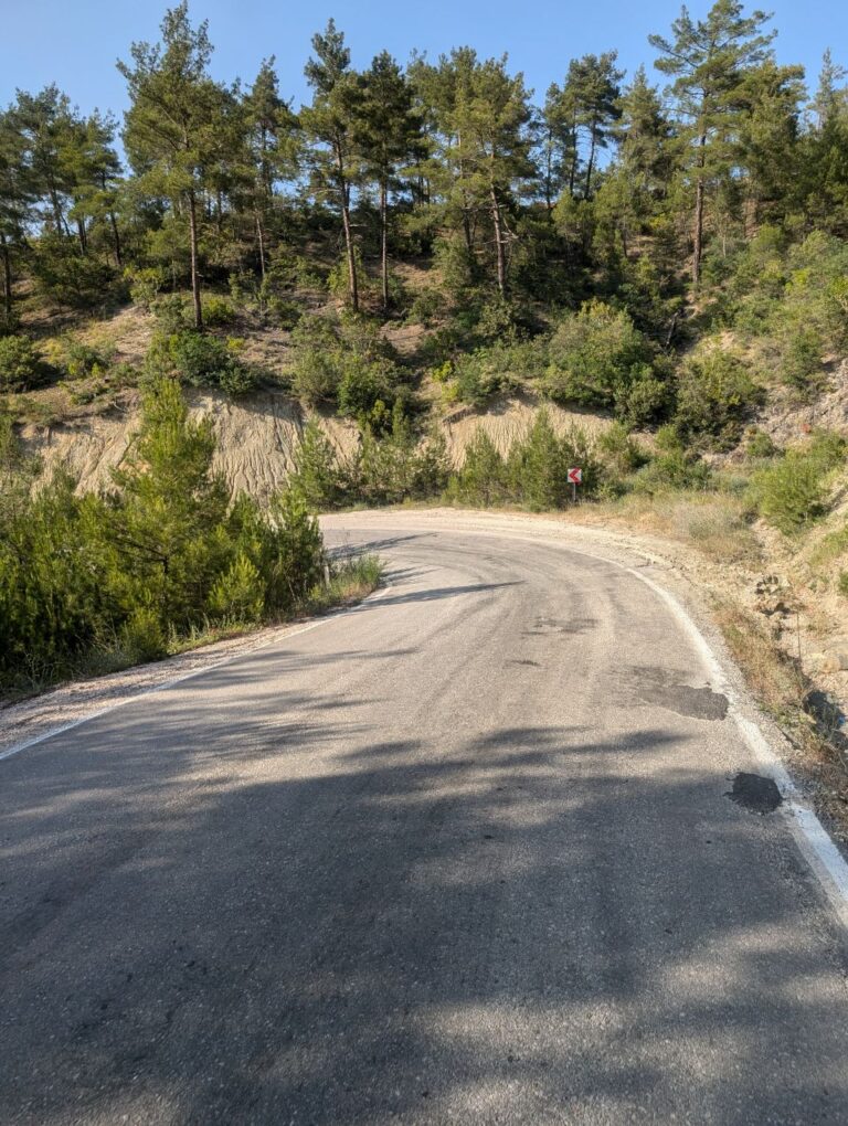 Auf der Flucht vor der Hitze