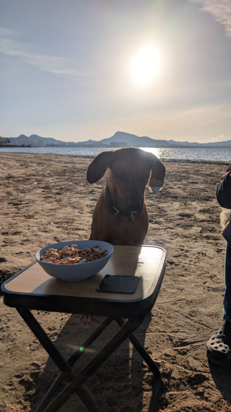 Treffen am Strand | TeamTara4x4