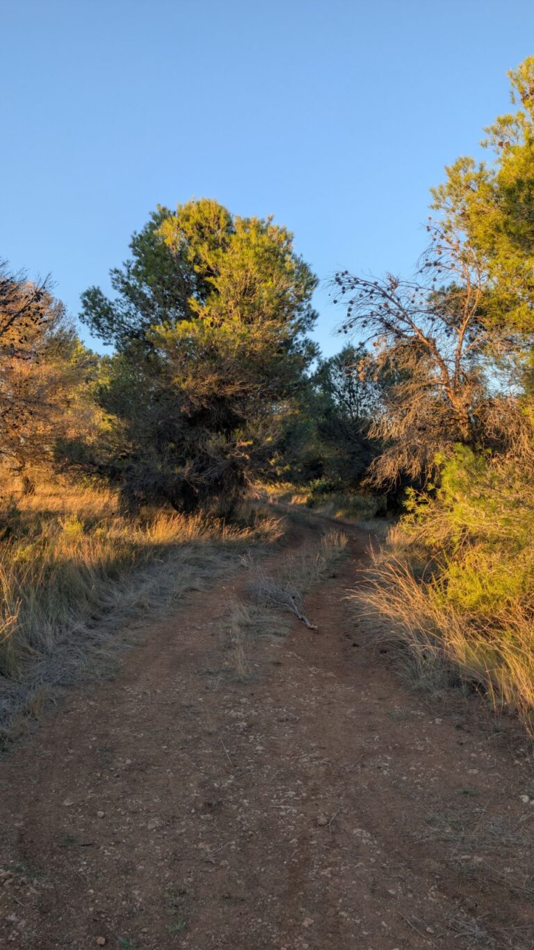 Carcastillo – Nachtplatz off the track
