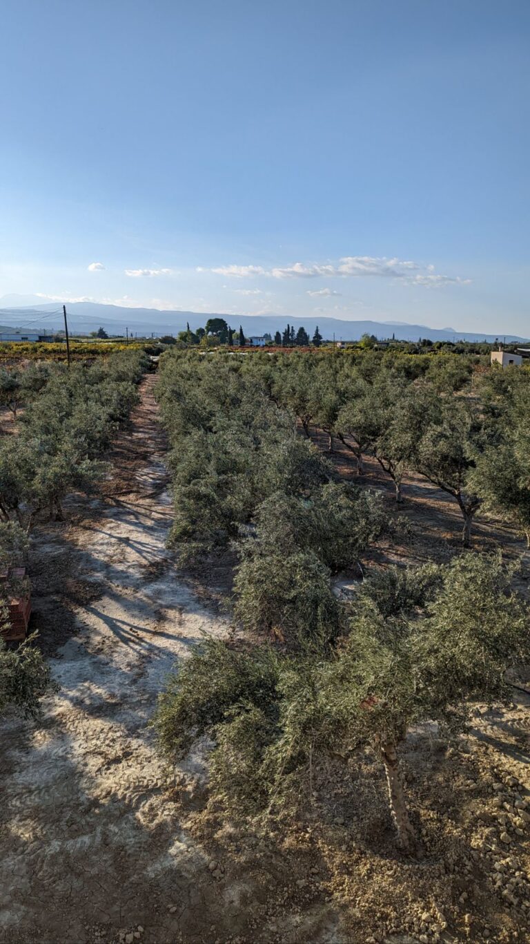 Camperstop Olive Tree, Lechaio