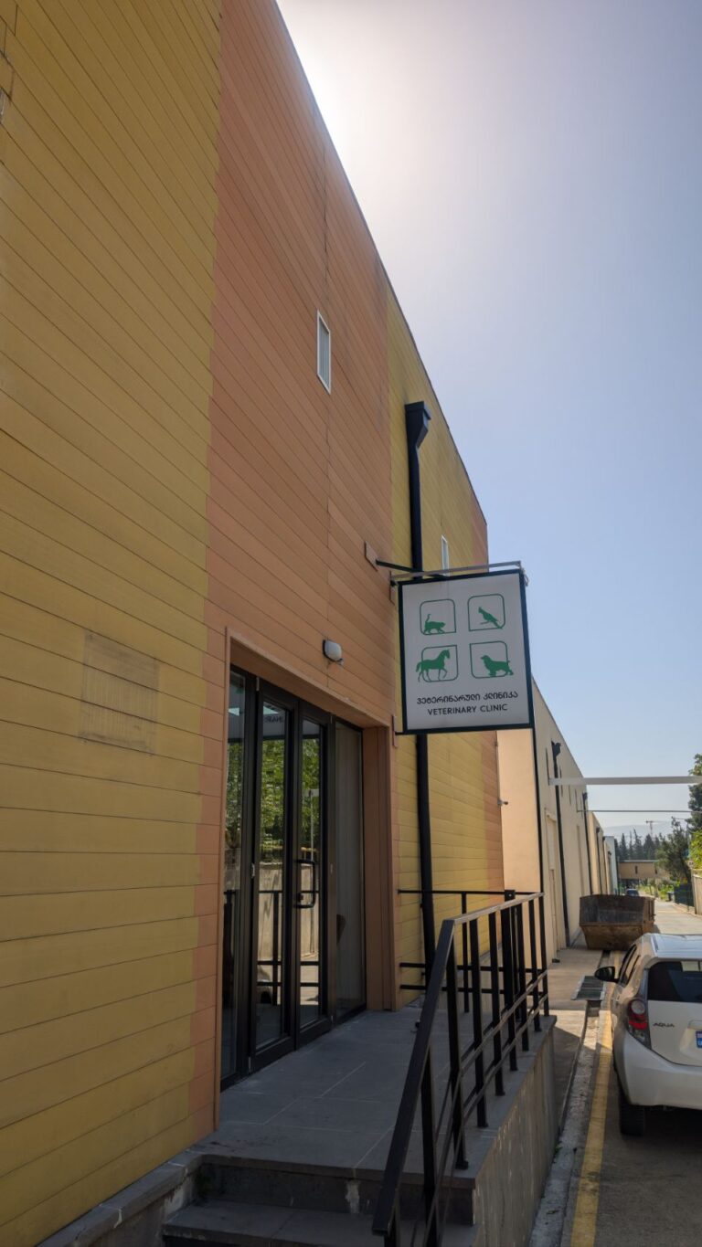 Finally… Good bye Tblisi !