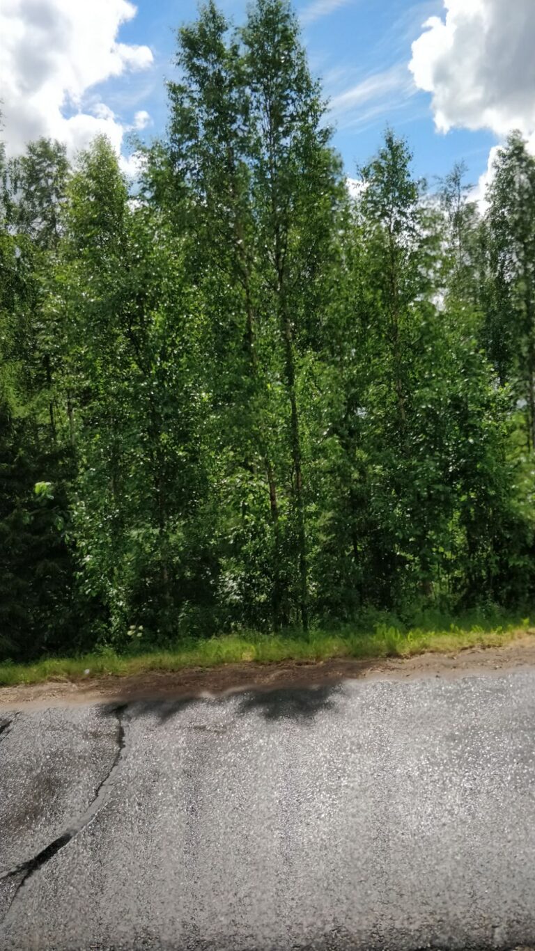 Ala-Juuma Camping