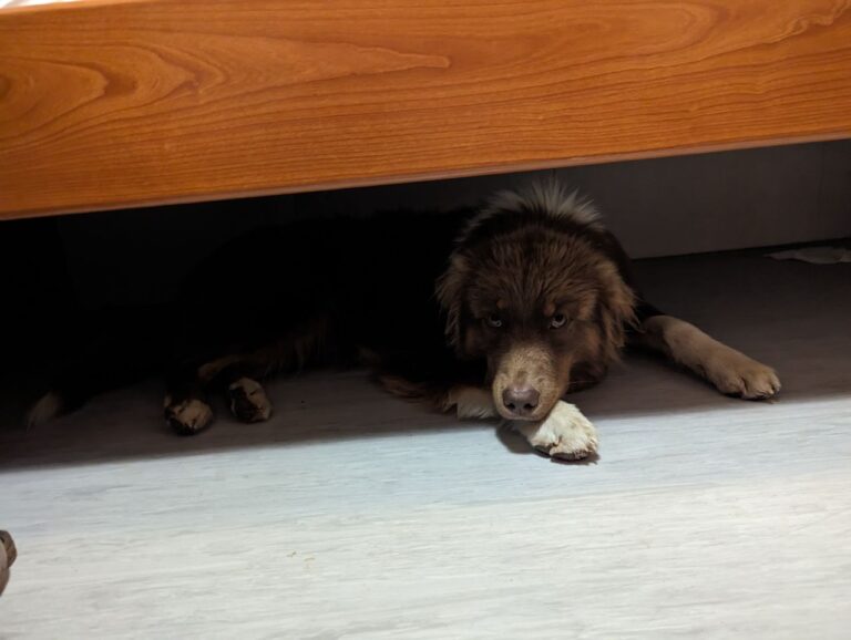 Palermo 🌊 🚢 🌊 Genua