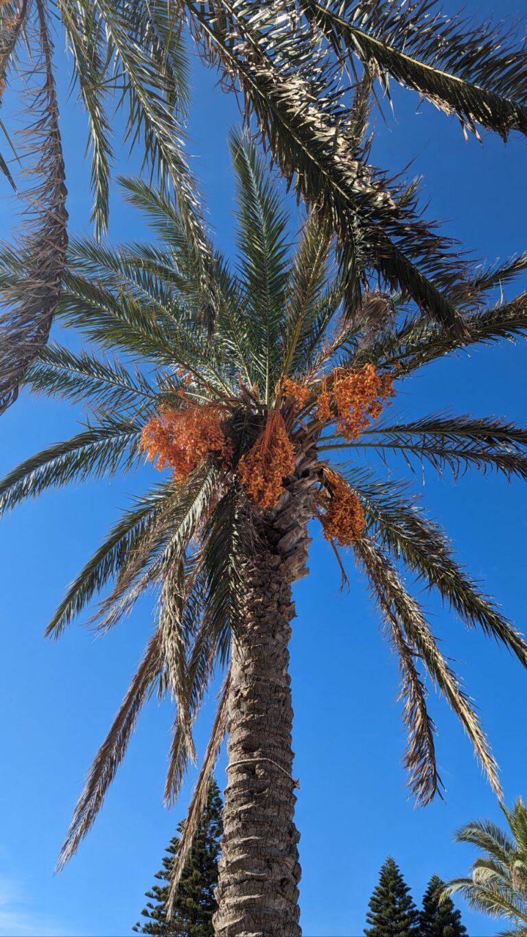 San Vito Lo Capo Tag 8