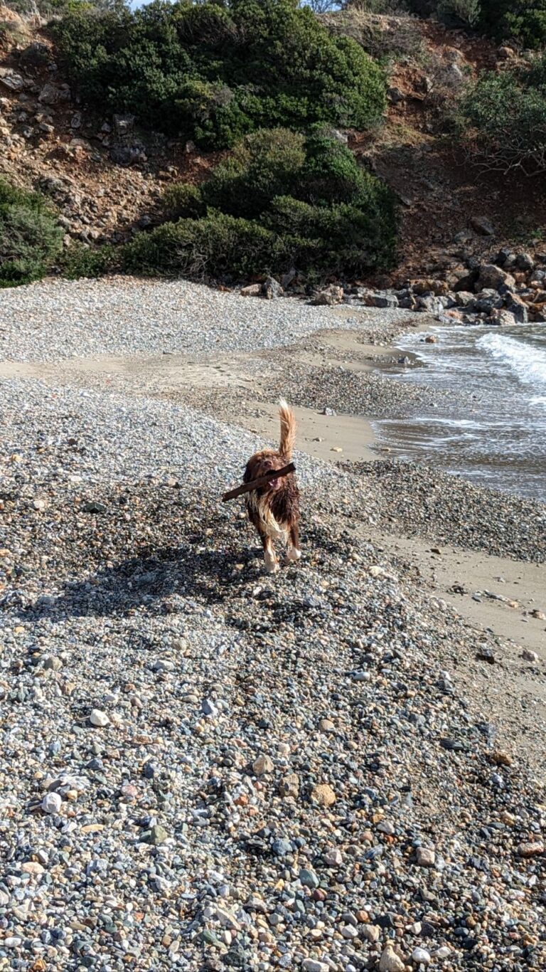 Sun & Fun @ Beach