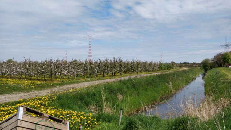 Hollern-Twielenfleth