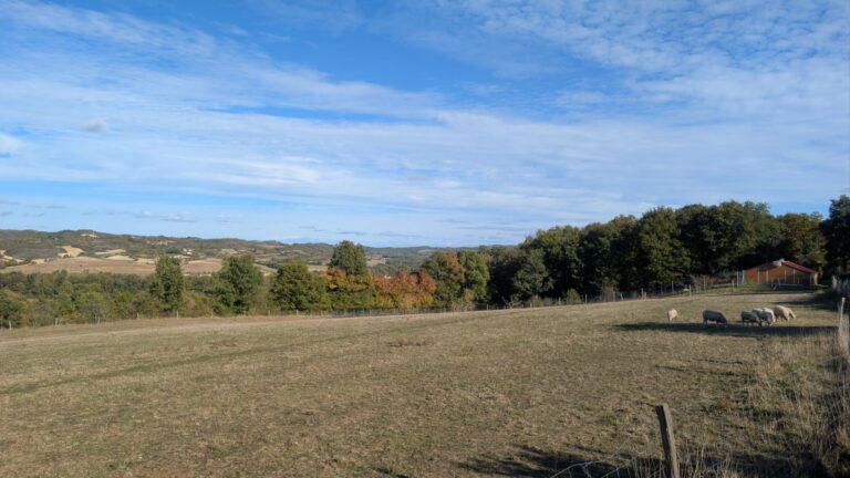 Urlaub auf dem Bauernhof