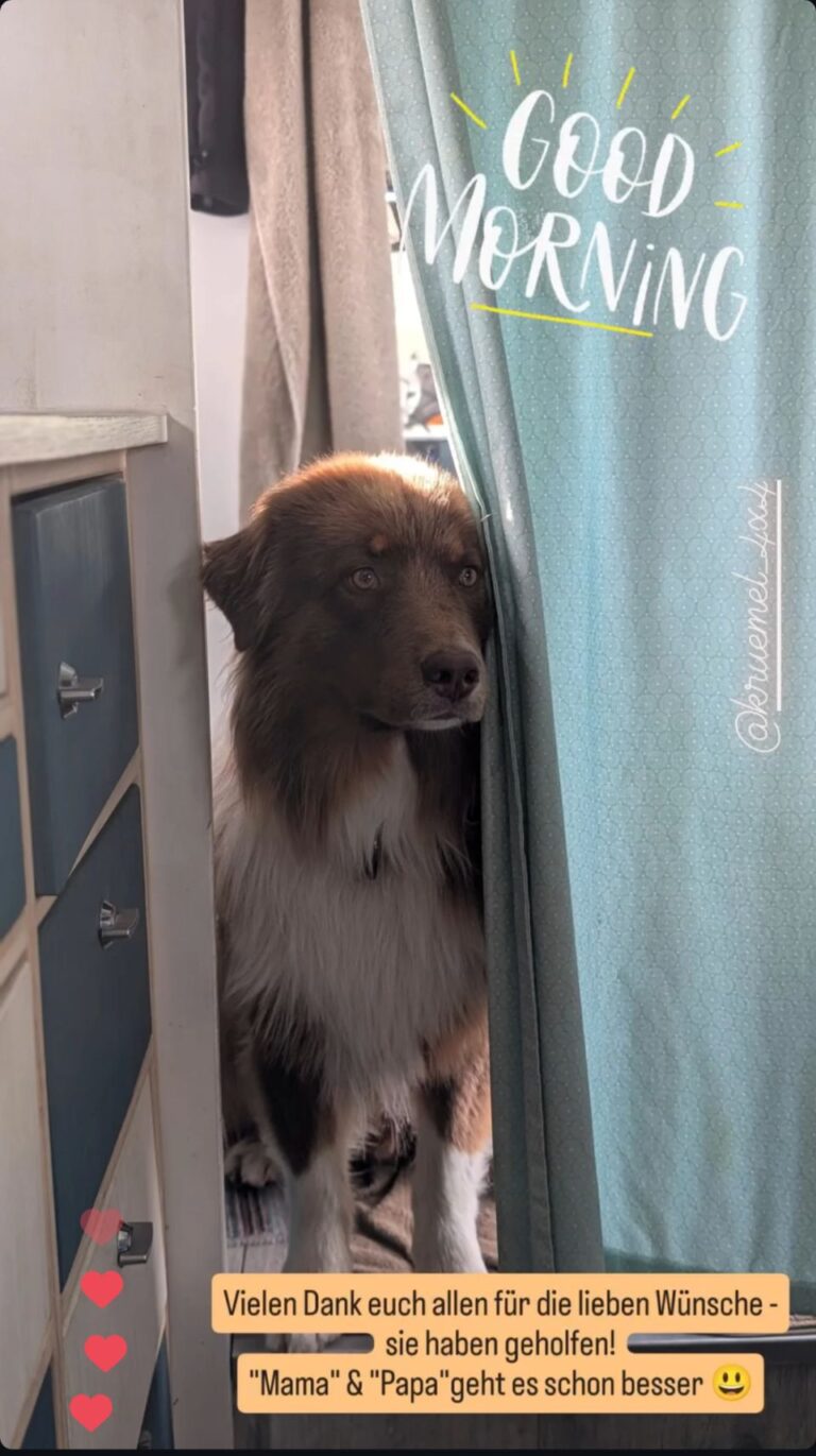Es geht langsam bergauf 🤞🏻…